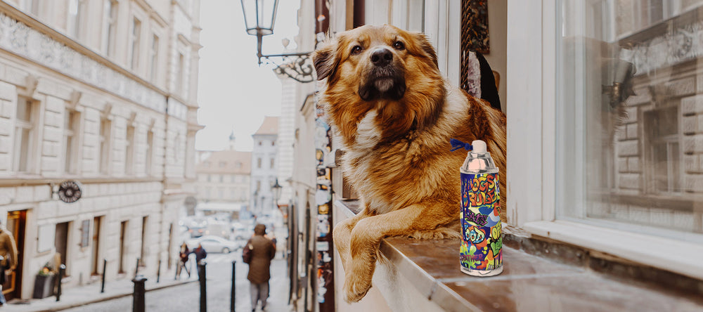 "Dogs rule!" as the toy spray can says, and this pooch certainly embodies the bold, in-your-face style of Cavall's Street Art collection, inspired by graffiti artists from the past 50 years.