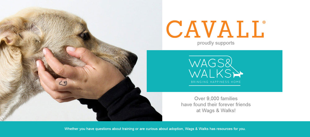 Buying a Cavall toy helps support Wags and Walks, a fabulous rescue organization basedin Los Angeles and Nashville. Please check out their website at wagsandwalks.org and give a second chance to a furry friend. We promise you won’t regret it.