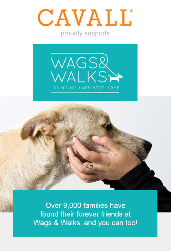 Buying a Cavall toy helps support Wags and Walks, a fabulous rescue organization basedin Los Angeles and Nashville. Please check out their website at wagsandwalks.org and give a second chance to a furry friend. We promise you won’t regret it.